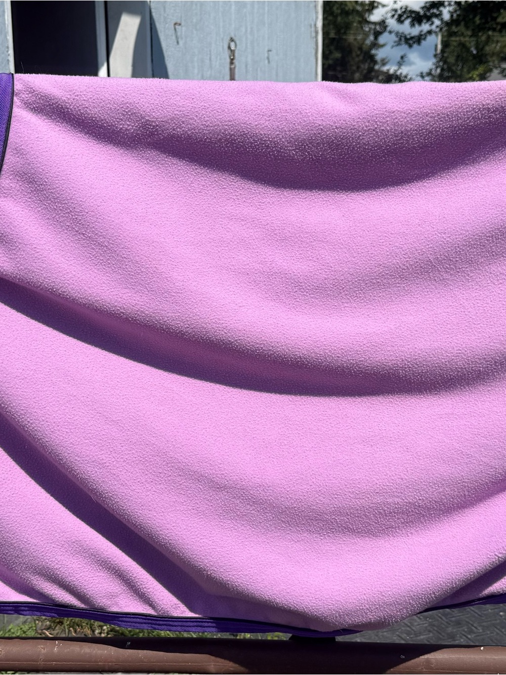 Purple quarter sheet-horse